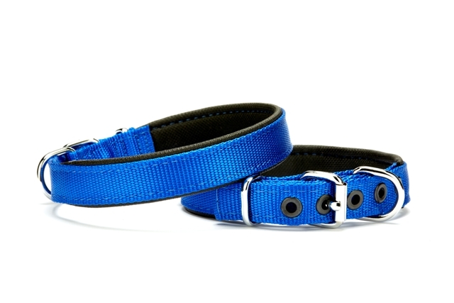Softlu Köpek Boyun Tasması 1,5 cm x 35 cm Mavi