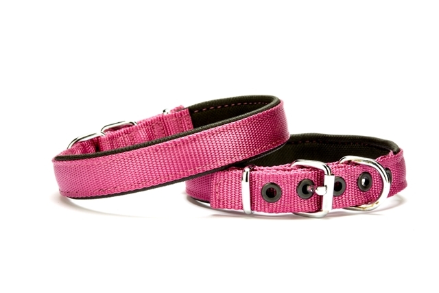 Softlu Köpek Boyun Tasması 1,5 cm x 35 cm Mor