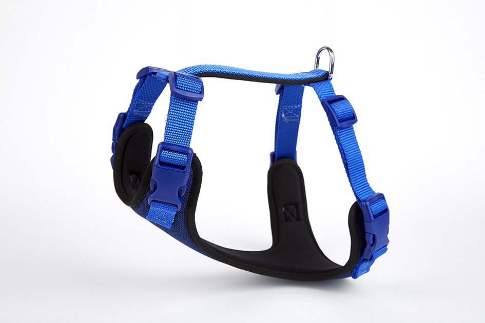 Yumuşak Softlu Köpek Göğüs Tasması 40/45 cm Mavi