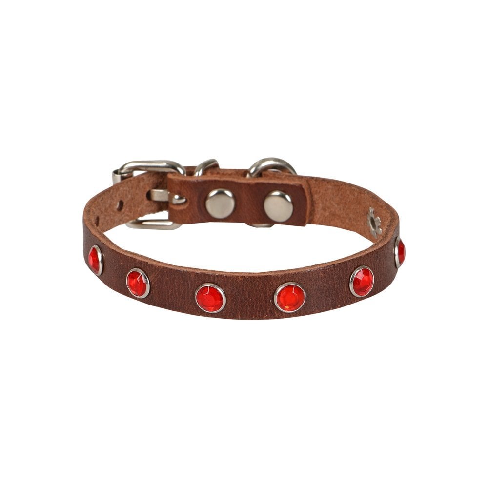 Taşlı Kedi ve Yavru Köpek Tasması 1,5×29 cm Kahverengi XLarge