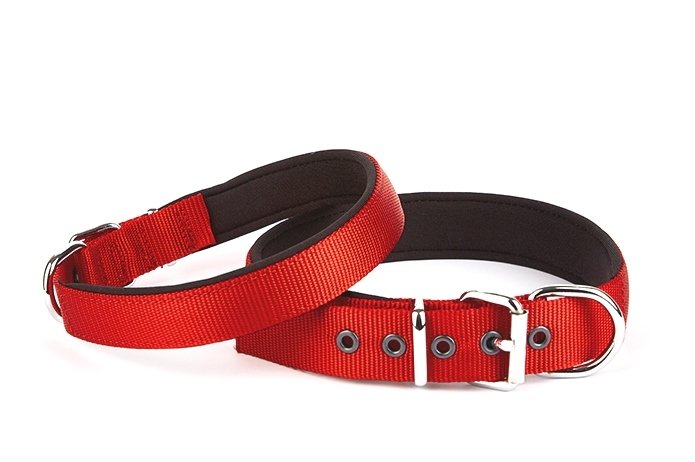 Konfor Seri Dokuma Köpek Boyun Tasması 4×52-60cm Kırmızı