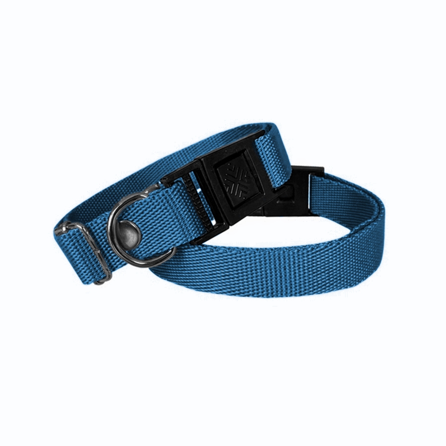 Köpek Tasması Dokuma 2 cm – Min: 30 cm – Max: 50 cm Mavi