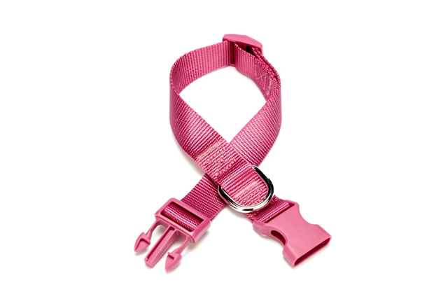 Dokuma Köpek Boyun Tasması 2 cm x 30-45 cm Mor