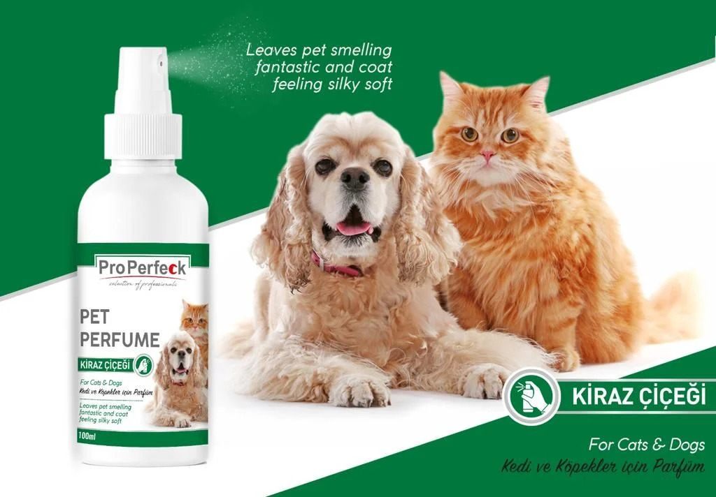 Kedi Ve Köpek Kiraz Çiçeği Parfüm 100 ml